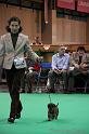 Crufts2011_2 1349